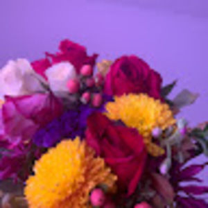 Meet your Posher, Gardith